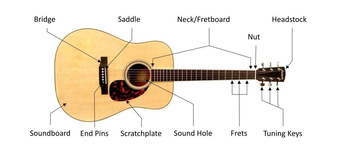 How To Adjust Action On Acoustic Guitar